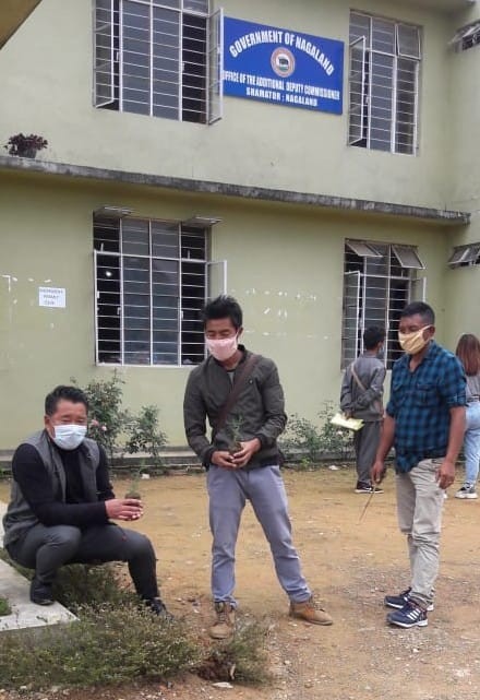 Lankonsen Tsanglao ADC, Shamator with staff and officers posted in Shamator marked World Environment Day by planting saplings in the office compound and nearby roads.  (DIPR Photo)